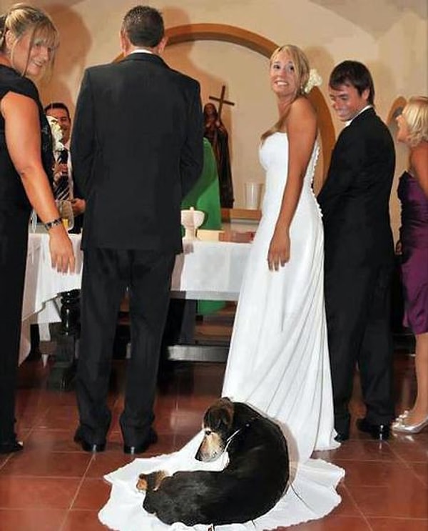 6. "Что там у вас опять? Свадьба? А мне и так нормально"