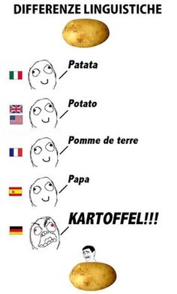 14. Теперь понятно, откуда у нас появилось слово "картофель".