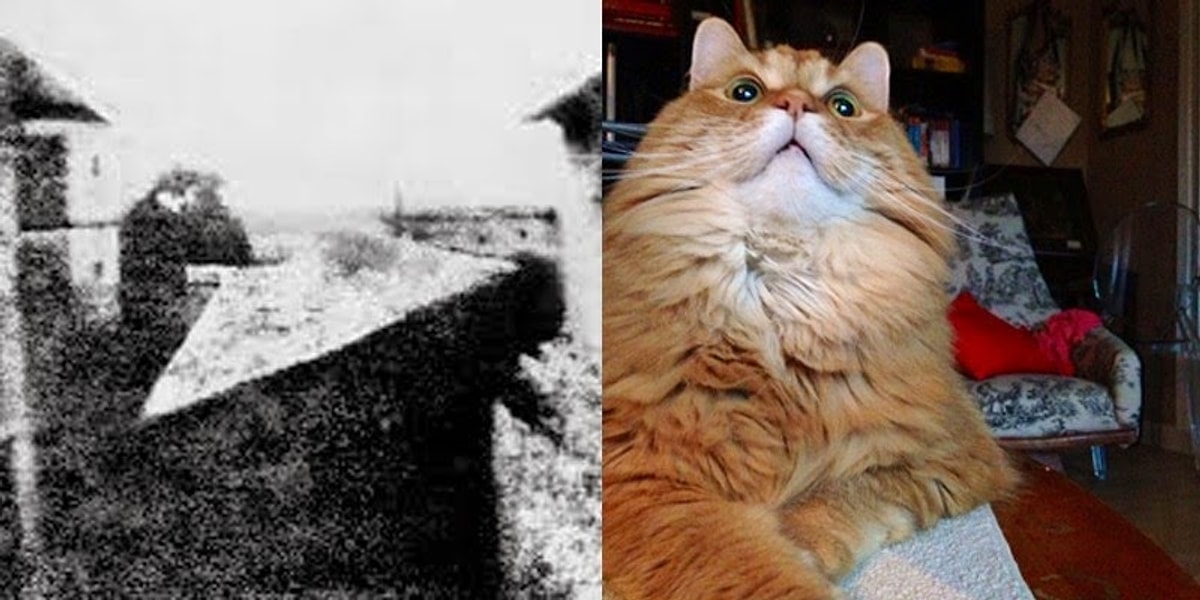 Данная Фотография Была