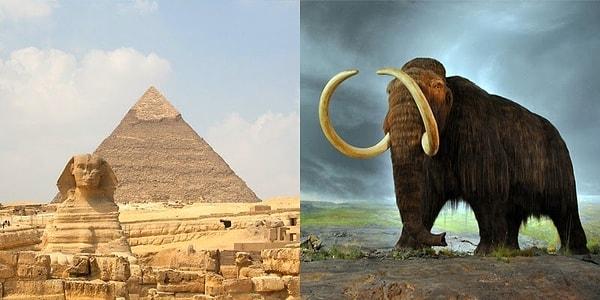 8. İlk piramitlerin inşa edildiği sırada mamutlar hala yaşamaktaydı.