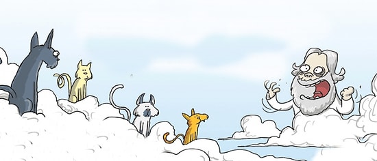 11 уморительных твитов о том, как Бог создавал животных