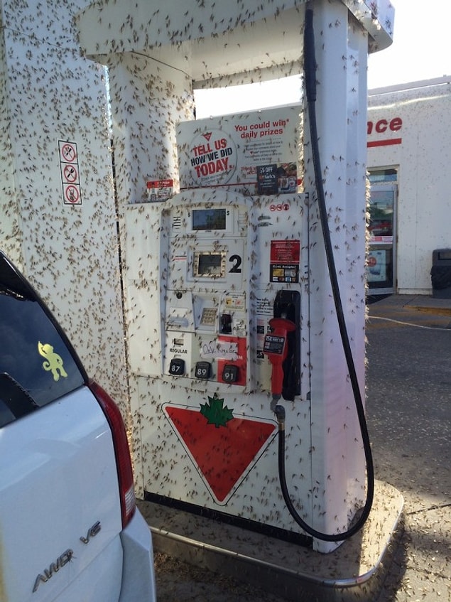 8. So there is no filling station attendant? Thanks but no thanks. I'll pass this one.