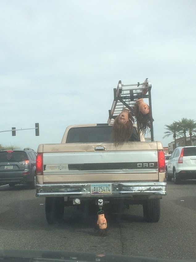 11. This should be written on that license plate: "Something is not right with me"