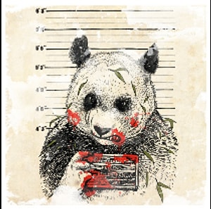 killer panda Yazar Profil Resmi