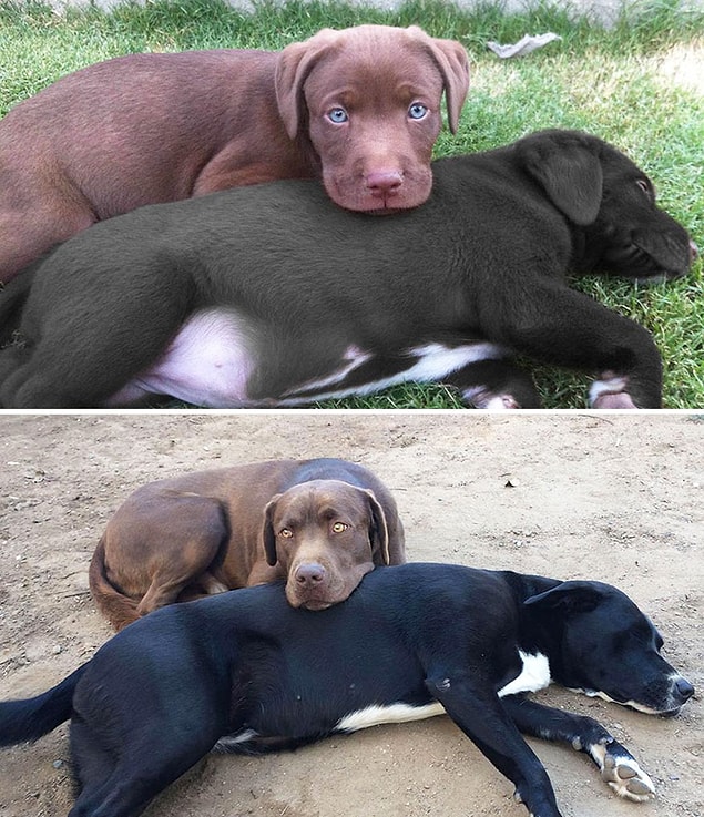 4. I guess their sleeping habits did not change much.