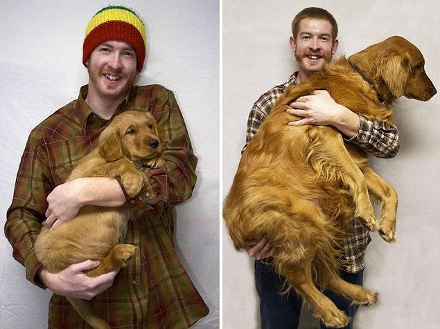 10. This puppy got as big as his owner in only 2 years.