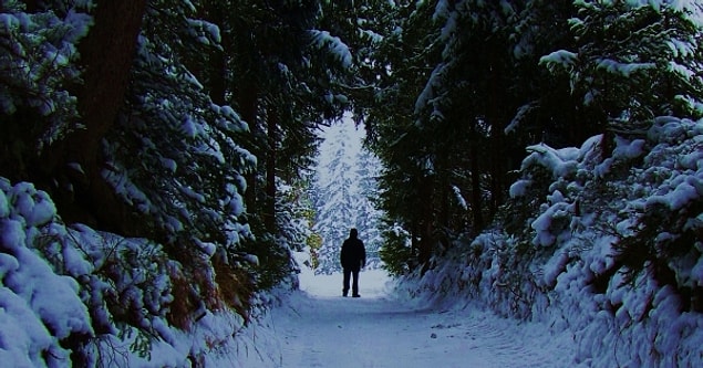 12. Narnia - Narnia Günlükleri