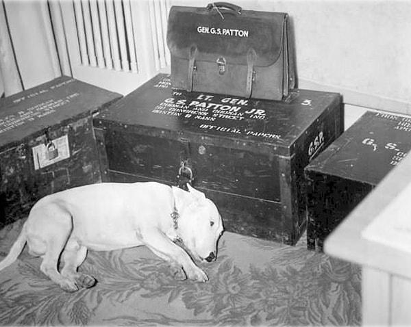 3. General George S. Patton'ın öldüğü gün, generalin sandığının önünde saatlerce yatan köpeği.