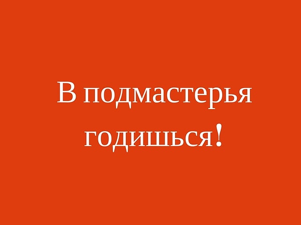 В подмастерья годишься!