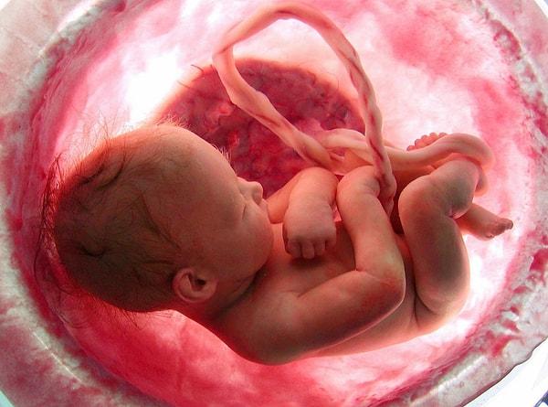 9. Çalışmalar, erken doğan bebeklerin çoğunun solak olduğunu kanıtlamıştır.