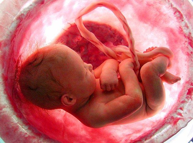 9. Çalışmalar, erken doğan bebeklerin çoğunun solak olduğunu kanıtlamıştır.