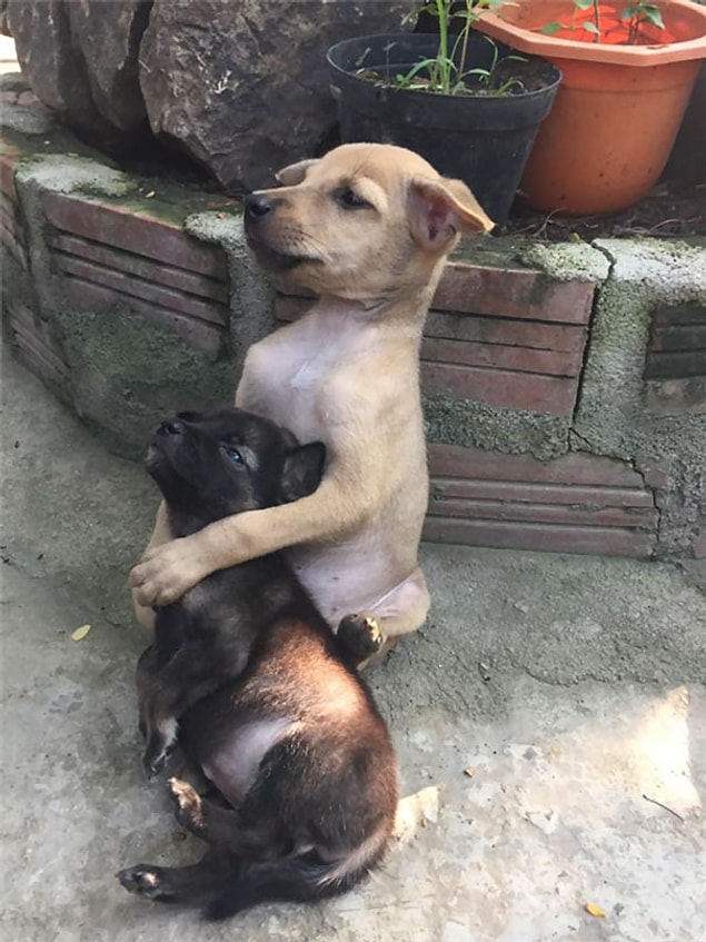 Yüzlerindeki ifade aslında herşeyi anlatıyor.