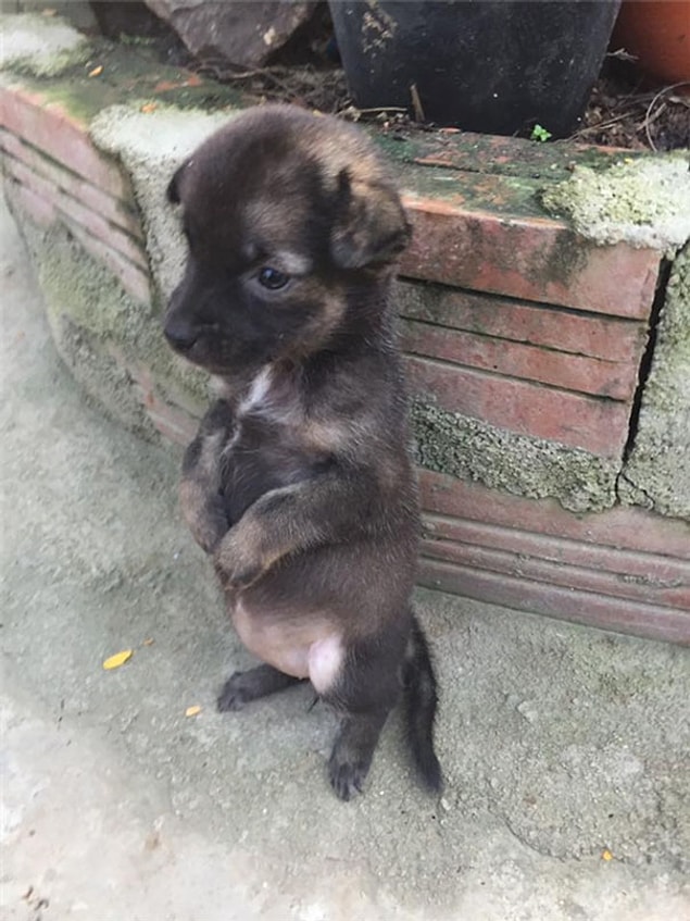 Sokakta herkes yanlarından geçiyor ama onları görmüyordu bile...