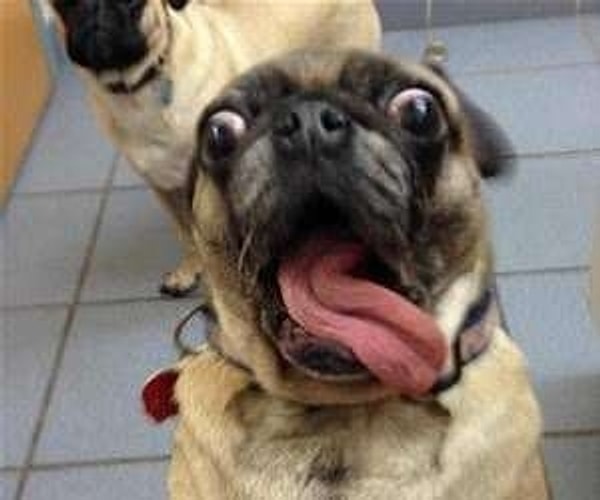 6. Тот неловкий момент, когда тебе случайно выдернули волос