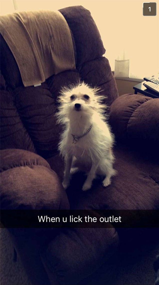16. 😂😂😂