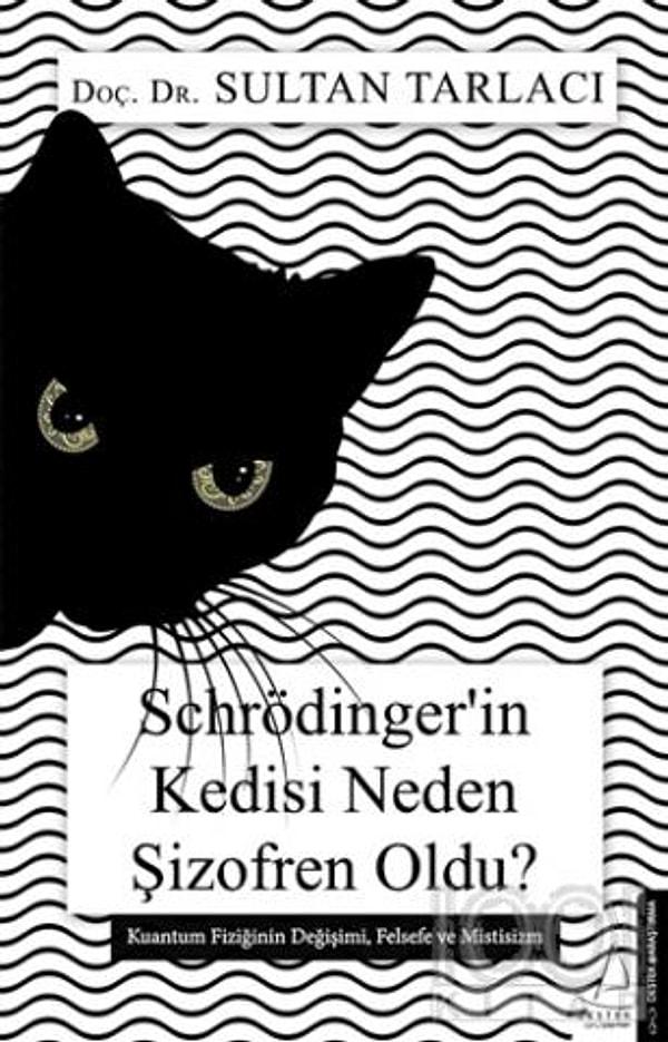 13. "Schrödinger’in Kedisi Neden Şizofren Oldu?", Sultan Tarlacı