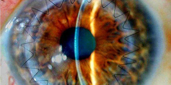 10. Gözlerimiz 10 milyondan fazla rengi ayırt edebilme yeteneğine sahip, fakat beynimiz hepsini hatırlayamıyor.