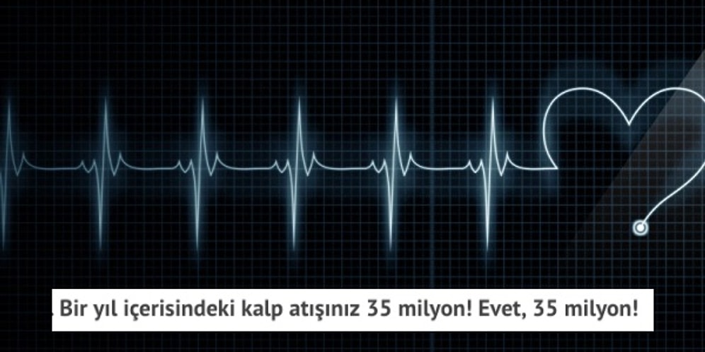İnsan Vücudu ile İlgili Bilmediğimiz 20 Muhteşem Bilimsel Gerçek