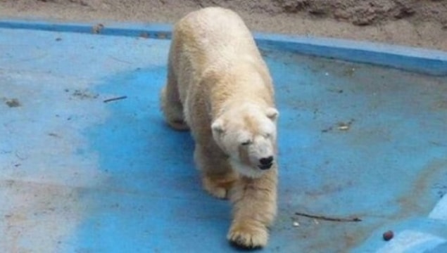 Arturo slowly started to lose his mind...