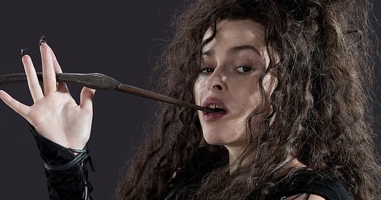 18 откровений о разнообразии интимной жизни истинного Поттеромана