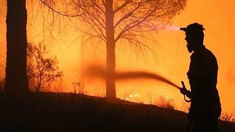 Kaz Dağları'ndaki Yangında Sabotaj Şüphesi