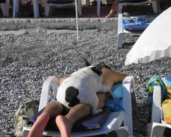 9. Оставьте меня в покое