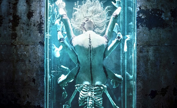 19. Коллекционер 2