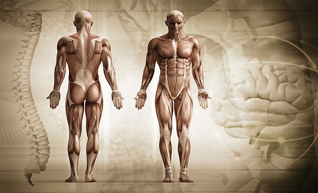 In order to diagnose someone with FMS, the patients have to have had the symptoms for at least three months.