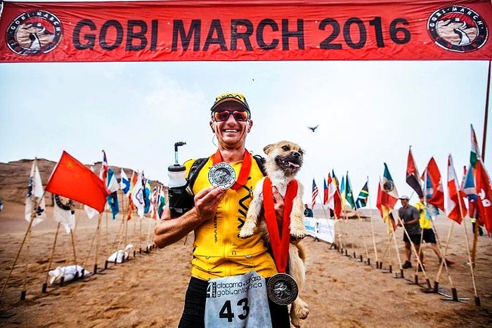 Maratona Katılarak Bir Sporcu ile Beraber Koşan Sokak Köpeği Gobi Evlat Edinildi!