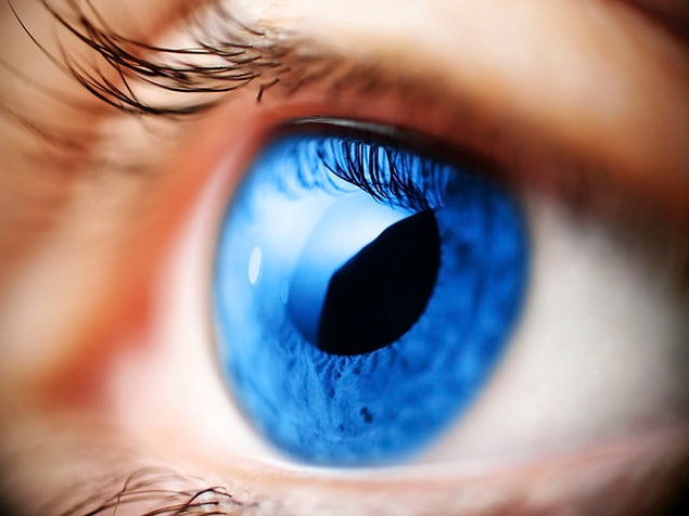 You think with your eyes!