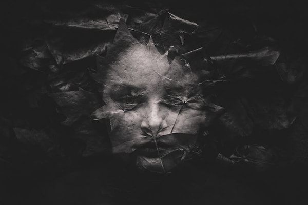 1 место – “Листья”, Келли Tьяк, Австралия