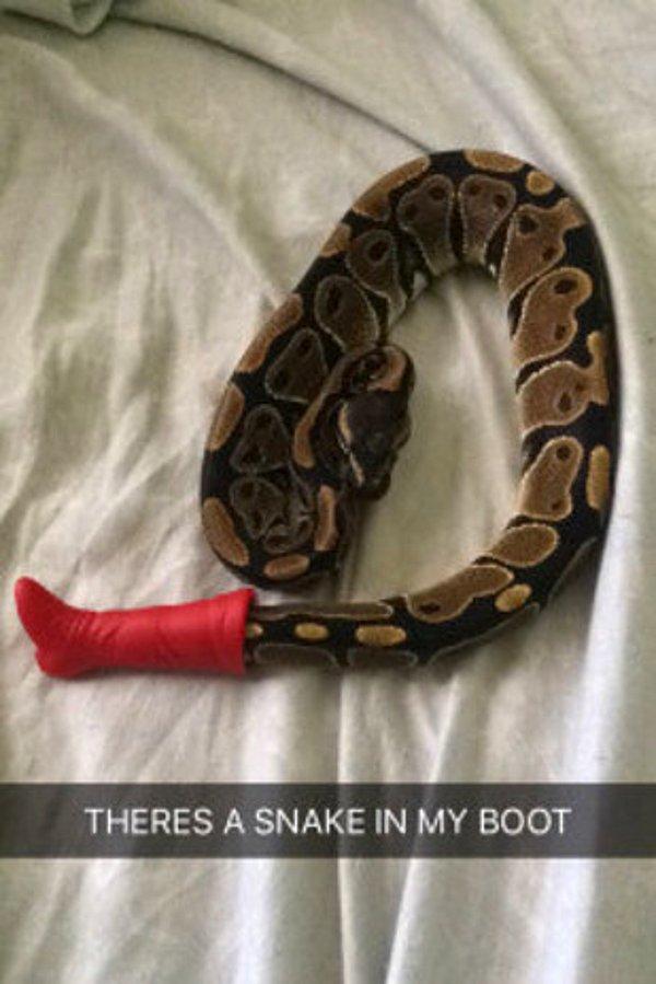 12. "Botumun içinde yılan var."