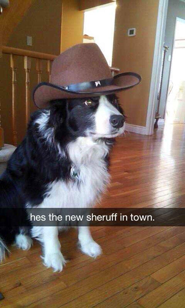 17. "Kasabanın yeni şerifi."