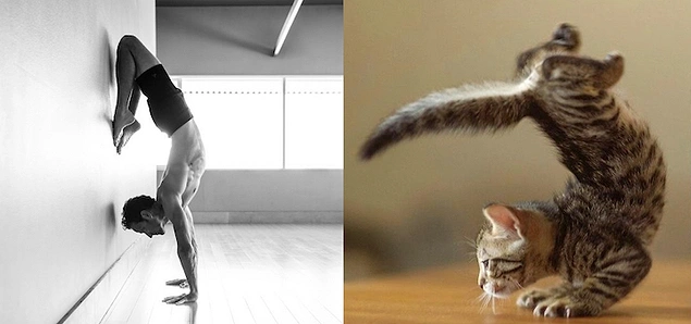 Blog kullanıcısı, bu harika işin devamını getirmiş. Sayfada yeni fotoğraflar da mevcut!