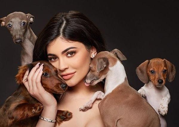 Kylie Jenner'ın Ernie, Norman ve Bambi'den oluşan köpek ailesinin yeni üyesi Penny; aileye çabuk uyum sağladı.