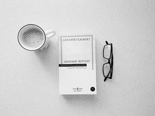 6. "Madame Bovary", (1856) Gustave Flaubert