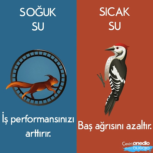 6.