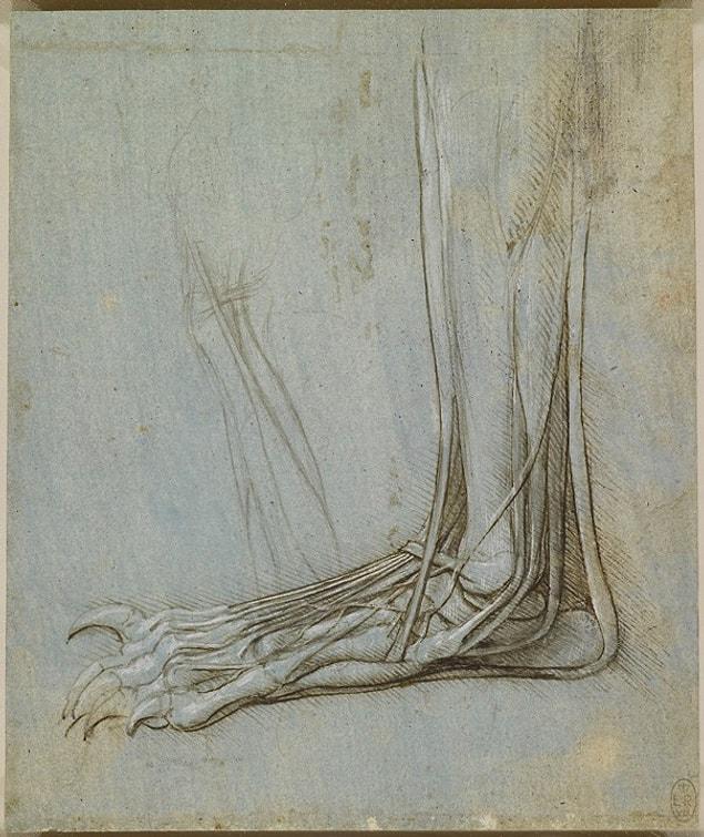 7. His works weren't just about people. Here, you see a depiction of a bear's foot.
