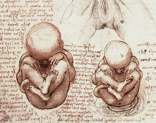 18. Writings and drawings of the uterus and embryo's development.