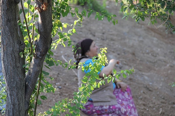 Üniversiteyi kazanmış ama Fadime Anne'nin bu başarısı adeta dünden belliymiş: