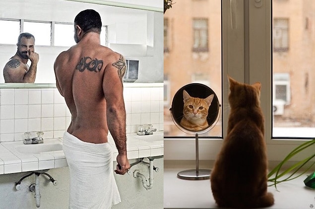 11. If you do enough scrolling, you might even confuse the cats with the models at first glance.
