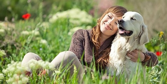 Собака - друг человека. Какой породы должен быть твой друг?