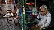 Bu İnsanlar Kafeste Yaşıyor! Zengin Şehirde Yoksulların Meskeni Tel Kafesten Yapılma Evler