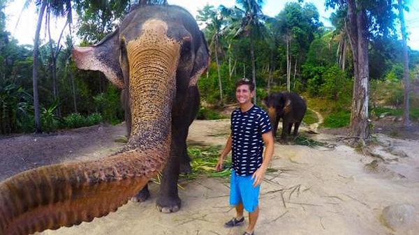 4. Слоны любят делать селфи.