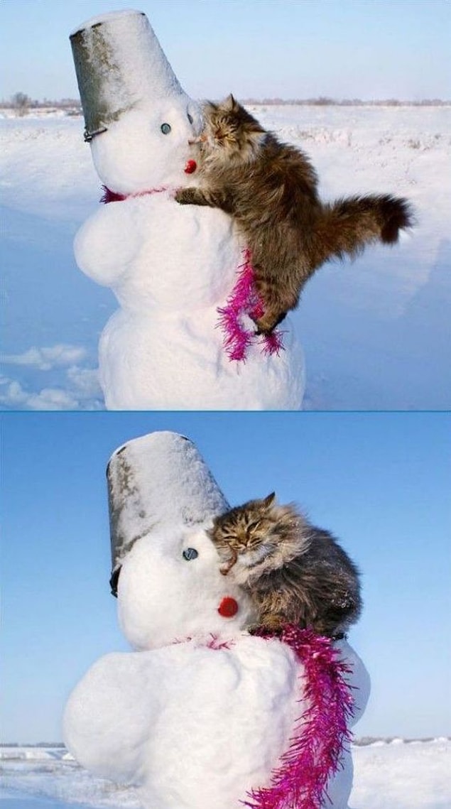 BONUS: Kedi bu, hayvanı da sever kardan adamı da. 😁