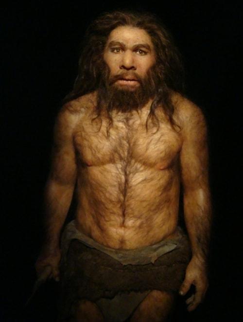 Neanderthaller Giysileri Yüzünden mi Yok Oldu?