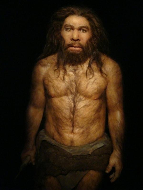 "Neanderthaller kendilerini soğuktan koruyacak kıyafetler dikemedikleri için donma ve soğuğa bağlı diğer hastalıklara yenik düşmüş olabilirler"