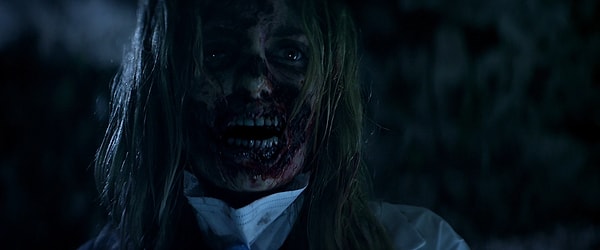 4. Лихорадка: Пациент Зеро