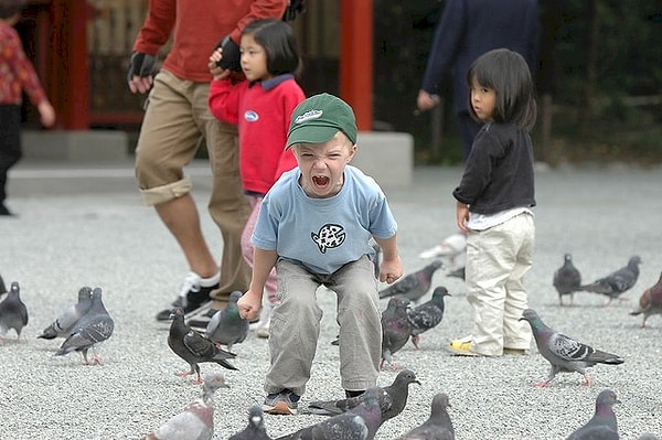 5. Телец: Ему просто нужно поговорить