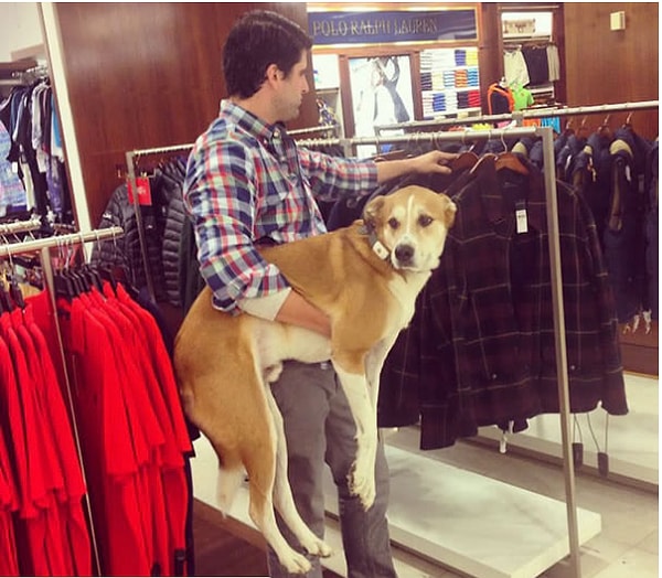 4. Шоппинг по-мужски